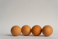 Four fresh brown chicken eggs in a row on grey background. Easter holiday Royalty Free Stock Photo