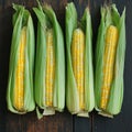 Four Fresh Ears of Corn on a Rustic Wooden Surface Royalty Free Stock Photo