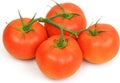 Four fresh juicy red bunch tomatoes on white background Royalty Free Stock Photo