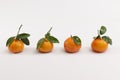 Four fresh mandarin on white background Royalty Free Stock Photo