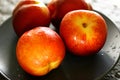 Four fresh peaches Royalty Free Stock Photo