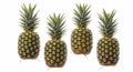 Four Fresh Pineapples on White Background Royalty Free Stock Photo