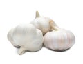 four fresh white garlic bulbs in stack isolated on white background with clipping path, Thai herb is great for healing several