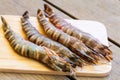 Four fresh whole tiger prawns