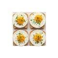 Four fried eggs on toast isolated on transparent background, isolated on white background Royalty Free Stock Photo