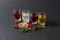 Four frozen cocktails, different colorful alcohol drinks with dry lemon, anise and cranberries on loft background.