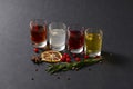 Four frozen cocktails, different colorful alcohol drinks with dry lemon, anise and cranberries on loft background.