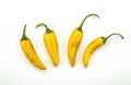 Four fruits of golden fresh chilli pepper on a white background