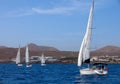 Four fully crewed yachts out sailing