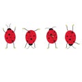 Four funny ladybugs