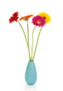 Four Gerber flowers in colorful vase Royalty Free Stock Photo