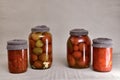 Four glass jars, with textile caps that against rust, with fermented tomatoes, peppers, eggplants Royalty Free Stock Photo