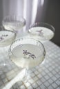 Four glasses with champagne on a light table surface reflecting soft sunshine rayson Royalty Free Stock Photo