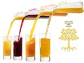 Four glasses with juices of orange, cherry, sea buckthorn and apple