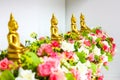 Four gold buddha on the flower in the row Royalty Free Stock Photo