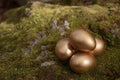 Four golden nest eggs on mossy rock Royalty Free Stock Photo