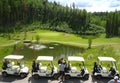 Four golf carts infront of fountain Royalty Free Stock Photo