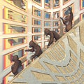 Four gorillas walking on a stairway