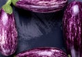 Four graffiti eggplants forming copy space Royalty Free Stock Photo