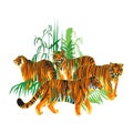 Four graphic tigers standing and walking among the exotic leaves and trees