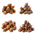 Four Groups of Brown Acorns Royalty Free Stock Photo