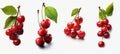 Four groups: Bunch of cherries with leaves on white background Royalty Free Stock Photo