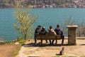 Four guys sit on a bench and look at the Bosphorus. A cat sits next to it. Istanbul. Turkey