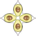 Four halfs of avocados formed to a square