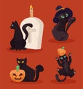 four halloween cats mascots Royalty Free Stock Photo