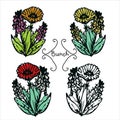 Four hand-drawn flower bunches