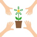 Four Hands arm reaching to Growing money tree shining coin with dollar sign Plant in the pot. Financial growth concept. Successful