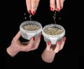 Four hands with hemp seeds in plastic containers Royalty Free Stock Photo