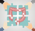 Four hands putting jigsaw puzzle pieces with image of large intestine together Royalty Free Stock Photo