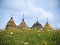 Four haystacks on grass