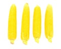 Four heads of corn isolated Royalty Free Stock Photo
