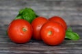 Healthy fresh and ripe shiny red tomatoes with basilicum leaves on wooden background