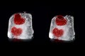 Four hearts in melting icecubes #1 Royalty Free Stock Photo