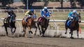 Four Horse Race Royalty Free Stock Photo