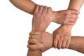 Four human arms crossed and holding together