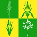Four icons on the topic of plants, botany, gardening