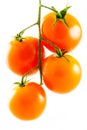 Four isolated cherry tomatoes Royalty Free Stock Photo