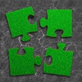 Four jigsaw puzzles of green grass texture, on dry cracked gray land background, high angle view Royalty Free Stock Photo