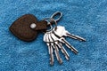 Four keys with metal ring Royalty Free Stock Photo