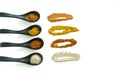 Four kind of spices in the ceramic spoon