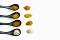 Four kind of spices in the ceramic spoon