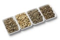 Four kinds of green unroasted coffee beans Royalty Free Stock Photo