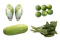 Four kinds of vegetables isolated on white