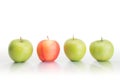 Four large fresh apples in the row isolated with clipping path Royalty Free Stock Photo