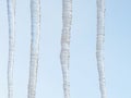 Four large icicles