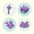 four lavender flowers